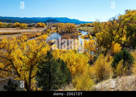 Vista autunnale del fiume Arkansas; Big Bend state Wildlife Area; tra Salida e Buena Vista; Chaffee County; Colorado; USA Foto Stock