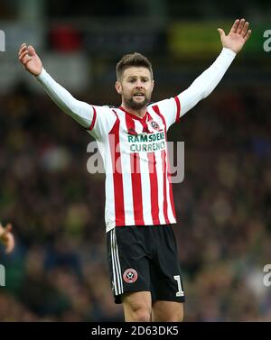 Oliver Norwood, Sheffield Regno Foto Stock