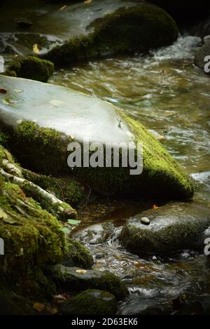 Rocce lucide lisce con muschio verde in un ruscello con acqua corrente Foto Stock