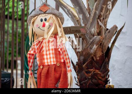 Carino scarrecrow circondato da decorazioni autunnali Foto Stock