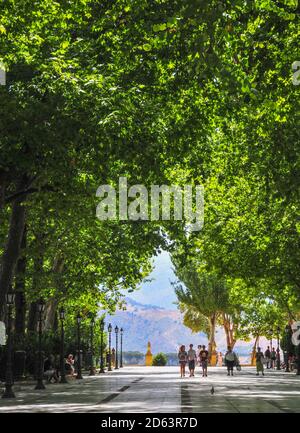 Alameda Park Ronda, Spagna. Luglio 2011. Persone che camminano in una passerella coperta di alberi a Ronda. Solo per uso editoriale. Foto Stock