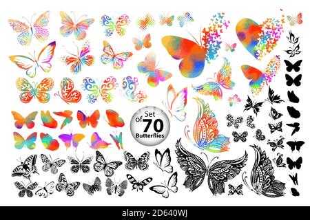 Set di farfalle multicolore. Farfalle monocromatiche aggraziate. Illustrazione vettoriale Illustrazione Vettoriale