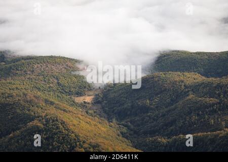 Mattina morbida, nebbiosa, foggosa con colline ondulate coperte da foresta autunno colorato illuminata dalla luce dell'alba Foto Stock