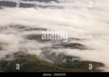 Mattina morbida, nebbiosa, foggosa con colline ondulate coperte da foresta autunno colorato illuminata dalla luce dell'alba Foto Stock