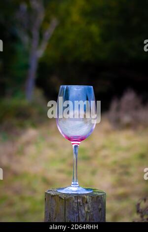 Seduto su un palo di legno Foto Stock