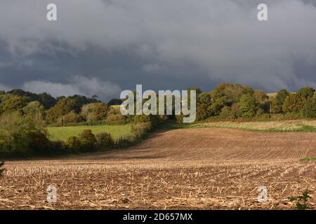 Nubi tempesta su campo di mais raccolto con campi verdi e colline oltre, East Chinnock, Somerset, Inghilterra Foto Stock