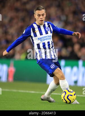 Brighton e Hove Albion di Leandro Trossard Foto Stock