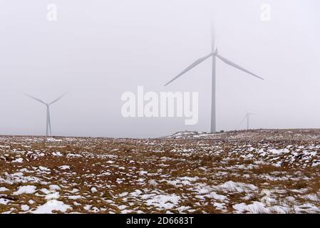 Snowy Wind fattoria avvolta in nebbia in una giornata invernale Foto Stock