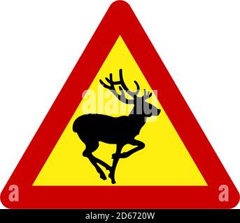 Segnale di avvertimento con caprioli sul simbolo di circolazione su strada Foto Stock