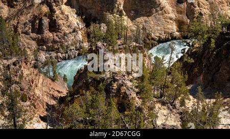 Fiume Yellowstone da Inspiration Point, Grand Canyon of the Yellowstone, Yellowstone National Park, Wyoming, Stati Uniti Foto Stock