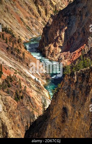 Fiume Yellowstone da Inspiration Point, Grand Canyon of the Yellowstone, Yellowstone National Park, Wyoming, Stati Uniti Foto Stock