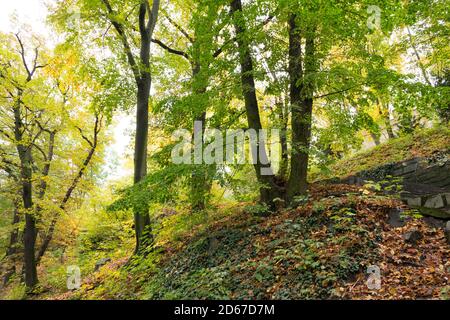 Giardini di Petřín a Praga, Praha, Repubblica Ceca, Foto Stock