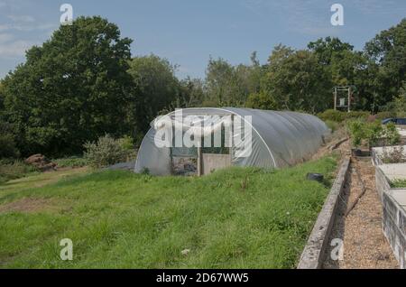 Polifunnel per la promozione di piante e verdure su un'assegnazione in un giardino vegetale in Rural West Sussex, Inghilterra, Regno Unito Foto Stock