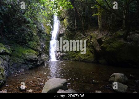 Ohau Stream cascata, a nord di Kaikoura, Isola del Sud, Nuova Zelanda Foto Stock