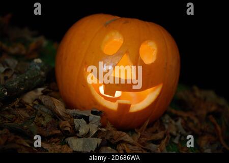 Zucca di Halloween su sfondo nero Foto Stock