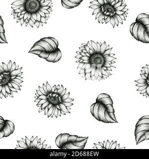 sfondo senza cuciture con disegno di arte di inchiostro di girasoli, decorazione vintage di girasoli per tessuto o avvolgimento, disegno di inchiostro bianco e nero Foto Stock