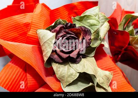 Una rosa rossa appassita con un grande nastro rosso in piedi su un tavolo in un vaso. Foto Stock