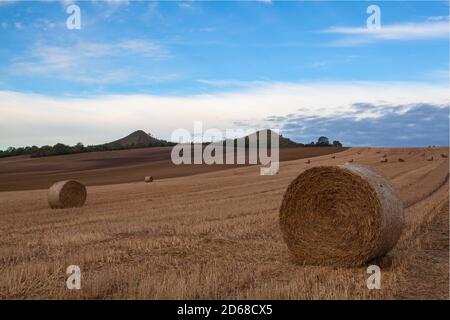 Balle di paglia su una stoppia nelle Uplands della Boemia centrale, Repubblica Ceca. Campo paesaggio balle di paglia su un campo di fattoria Foto Stock