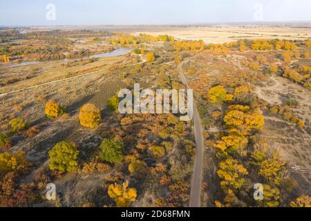 Wuwei. 14 ottobre 2020. Foto aerea scattata il 14 ottobre 2020 mostra lo scenario autunnale del parco nazionale delle paludi del fiume Shiyang a Wuwei, provincia di Gansu, nella Cina nord-occidentale. Credit: Jiang Aiping/Xinhua/Alamy Live News Foto Stock