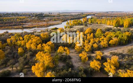 Wuwei. 14 ottobre 2020. Foto aerea scattata il 14 ottobre 2020 mostra lo scenario autunnale del parco nazionale delle paludi del fiume Shiyang a Wuwei, provincia di Gansu, nella Cina nord-occidentale. Credit: Jiang Aiping/Xinhua/Alamy Live News Foto Stock