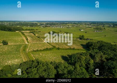 Bourgueil (Francia centro-occidentale): Vista aerea dei vigneti e della zona circostante in primavera Vista del villaggio di Benais lontano Foto Stock
