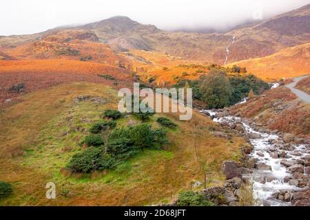 Lakeland si fa incantare e ruscello nei colori autunnali. Foto Stock