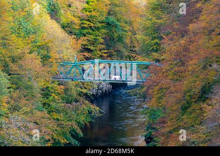 I visitatori ammirano la vista dal ponte pedonale con i colori autunnali sugli alberi che circondano il fiume Garry a Garry Bridge vicino a Killiecrankie, Scozia, Regno Unito Foto Stock