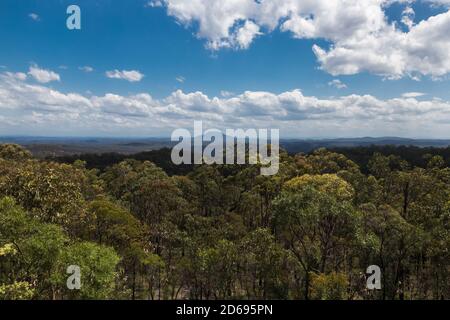 Vista da Finchley Lookout, Yengo National Park, Lower Hunter regione, New South Wales. Fa parte del Greater Blue Mountains, patrimonio mondiale dell'umanità Foto Stock