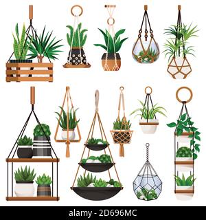 Piante di casa in vasi di macrame appesi, isolati su sfondo bianco. Vettore cartoon piatto illustrazione di piante di casa in vaso verde. Home scandinavo in Illustrazione Vettoriale