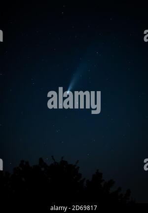 Comet Neoswise tracking attraverso il cielo notturno sopra le cime degli alberi Foto Stock