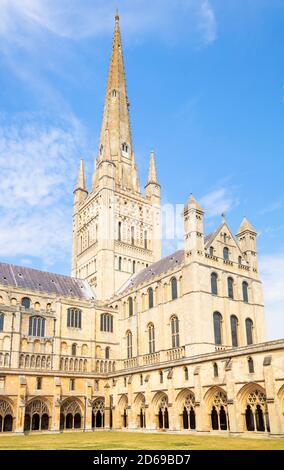 Norwich Cathedral Cloisters South Transept e spire of Norwich Cathedral Norwich Norfolk East Anglia Inghilterra GB Europa Foto Stock