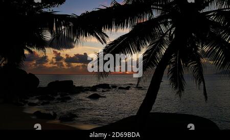 Splendido tramonto con il sole che scompare nelle nuvole sull'orizzonte dell'oceano a Tusculum Beach, Mahe Island, Seychelles con silhouette di palma. Foto Stock