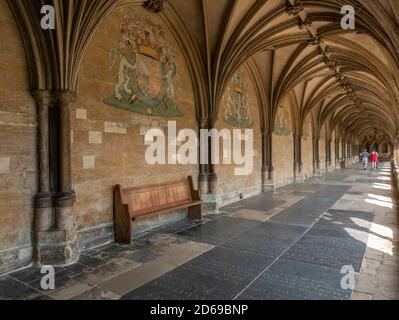 Chiostri nella Cattedrale di Norwich o Trinità Santa e indivisa A. Chiesa di Inghilterra cattedrale in Norwich Norfolk East Anglia Inghilterra Regno Unito GB Europa Foto Stock