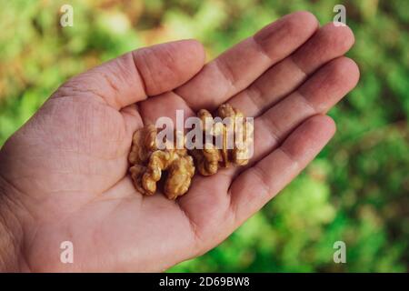 Noci biologiche fresche pronte a mangiare Foto Stock