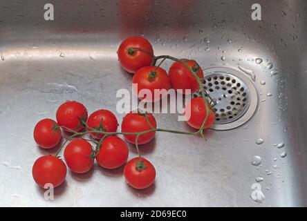 pomodori ciliegini appena raccolti e lavati sul lavandino della cucina Foto Stock