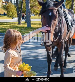 Carina ragazza colpi bello cavallo nel parco Foto Stock