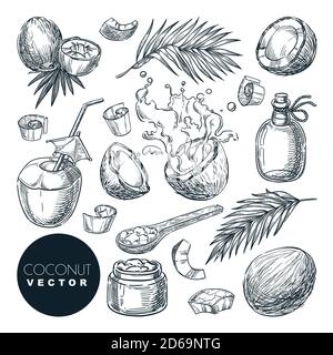 Illustrazione vettoriale dello schizzo di cocco. Noci di cocco rotte con spruzzi di latte, burro, olio e foglie di palma. Elementi di progettazione isolati disegnati a mano. Cibo vegeta Illustrazione Vettoriale