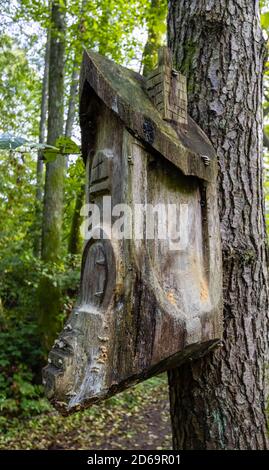 Inusuale casa di uccelli scolpiti (con beccano) su un tronco di albero in Winkworth Arboretum vicino Godalming, Surrey, sud-est dell'Inghilterra, in autunno Foto Stock