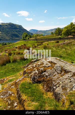Scena rurale vicino Ullswater nel Parco Nazionale del Distretto dei Laghi Foto Stock