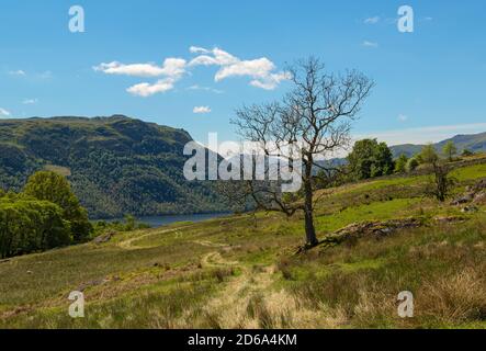 Ullswater scena rurale Cumbria Foto Stock