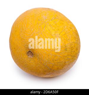 Un piccolo melone giallo isolato su sfondo bianco Foto Stock