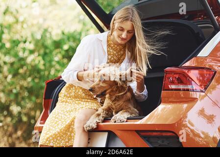 Si siede sul retro dell'auto. Donna con il suo cane all'aperto nella foresta hanno buon tempo Foto Stock