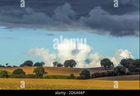 Disposizione a strisce del cielo con diverse aree di luminosità. Cielo scuro, blu e chiaro. Paesaggio nella collina Ostholstein, Germania. Foto Stock