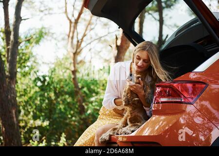 Si siede sul retro dell'auto. Donna con il suo cane all'aperto nella foresta hanno buon tempo Foto Stock