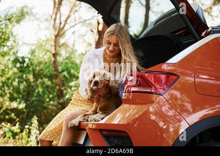 Si siede sul retro dell'auto. Donna con il suo cane all'aperto nella foresta hanno buon tempo Foto Stock