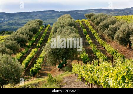 Francia Foto Stock