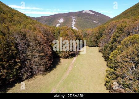 Viggianello, Italia. 11 Ott 2020. (NOTA PER GLI EDITORI: L'immagine è stata creata con un drone). Una vista sui boschi di piano Ruggio, alti circa 1550 metri, sui monti Pollino in Basilicata, Italia meridionale. Meta turistica molto popolare durante tutto l'anno. Credit: Agenzia fotografica indipendente/Alamy Live News Foto Stock