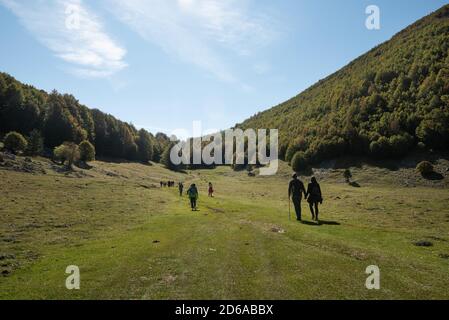 Viggianello, Italia. 11 Ott 2020. Turisti nel piano Ruggio a circa 1550 metri di altezza, sui monti Pollino in Basilicata, Italia meridionale. Meta turistica molto popolare durante tutto l'anno. Credit: Agenzia fotografica indipendente/Alamy Live News Foto Stock