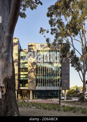 Sezione di elevazione occidentale. Università di Wollongong Western Building, Wollongong, Australia. Architetto: HASSELL, 2020. Foto Stock