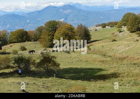 Turno, Italia. 11 Ott 2020. Una veduta di piano di Pedarreto, con alcuni cavalli, a circa 1300 metri di altezza, sui monti Pollino in Basilicata, Italia meridionale. Meta turistica molto popolare durante tutto l'anno. Credit: Agenzia fotografica indipendente/Alamy Live News Foto Stock